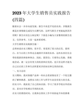 2023年大学生销售员实践报告(四篇)