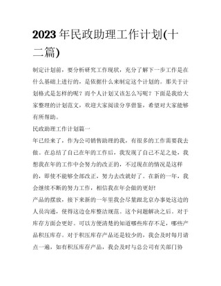 2023年民政助理工作计划(十二篇)