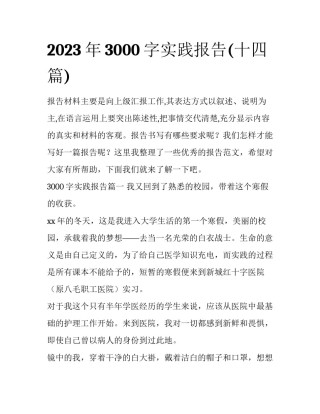 2023年3000字实践报告(十四篇)