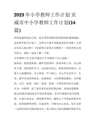 2023年小学教师工作计划 宣威市中小学教师工作计划(14篇)