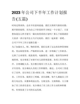 2023年公司下半年工作计划报告(五篇)