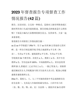 2023年督查报告专项督查工作情况报告(42篇)
