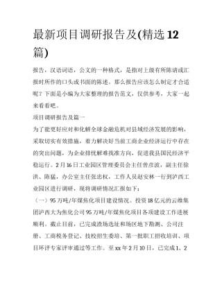 最新项目调研报告及(精选12篇)