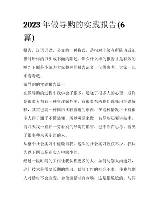 2023年做导购的实践报告(6篇)
