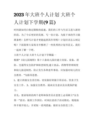 2023年大班个人计划 大班个人计划下学期(9篇)