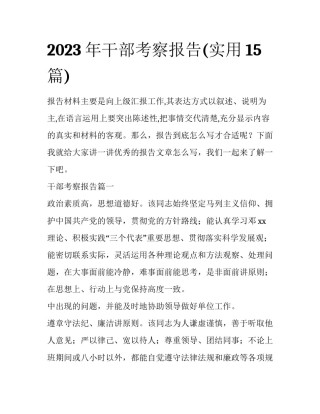 2023年干部考察报告(实用15篇)