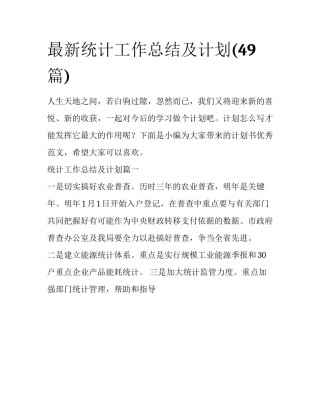 最新统计工作总结及计划(49篇)