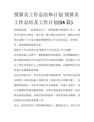 预算员工作总结和计划 预算员工作总结及工作计划(14篇)