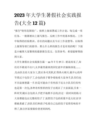 2023年大学生暑假社会实践报告(大全12篇)