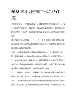 2023年计划管理工作总结(7篇)
