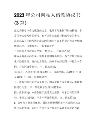 2023年公司向私人借款协议书(3篇)