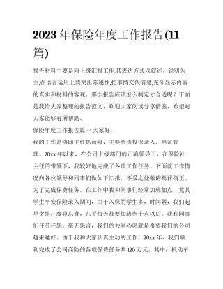 2023年保险年度工作报告(11篇)
