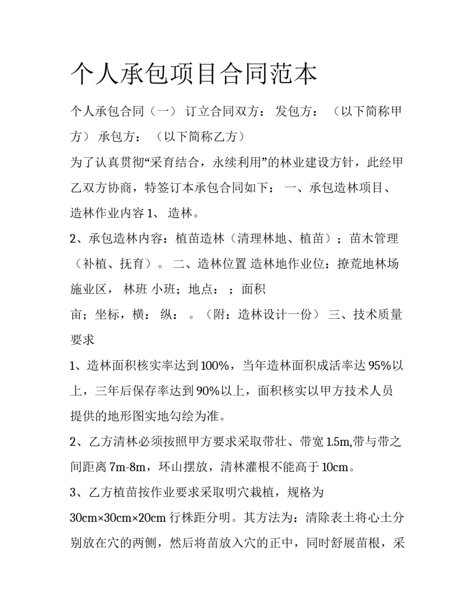 个人承包项目合同范本_第1页
