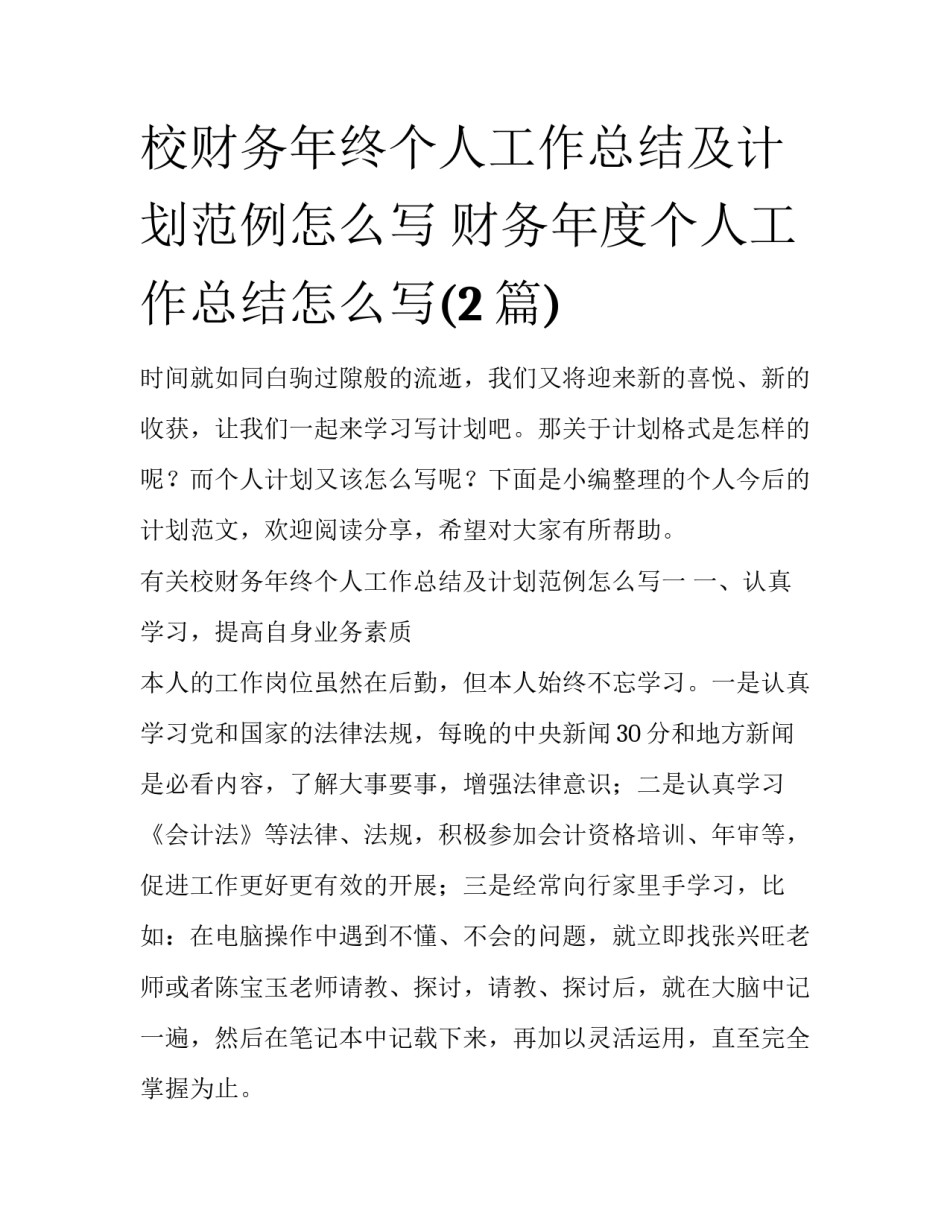 校财务年终个人工作总结及计划范例怎么写 财务年度个人工作总结怎么写(2篇)_第1页