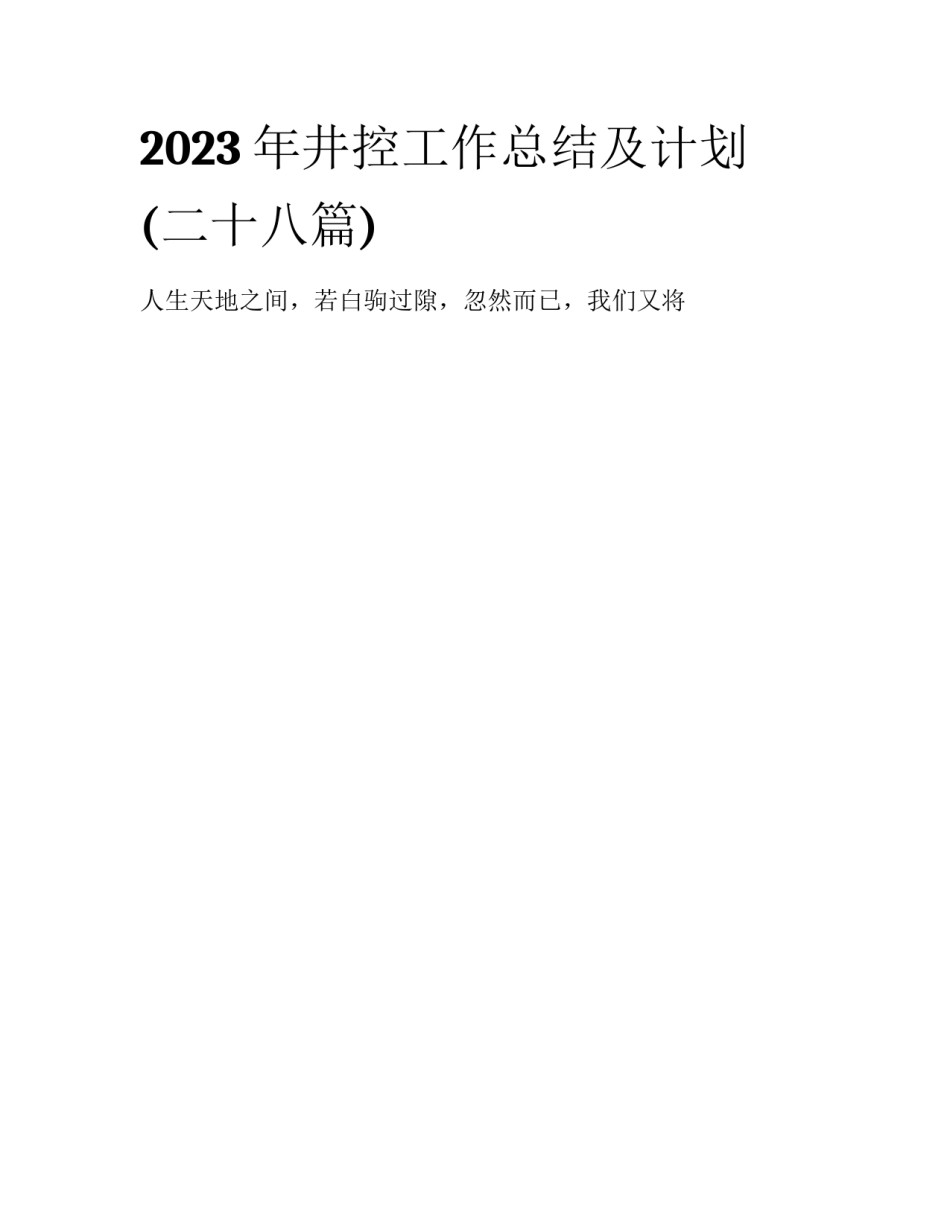 2023年井控工作总结及计划(二十八篇)_第1页