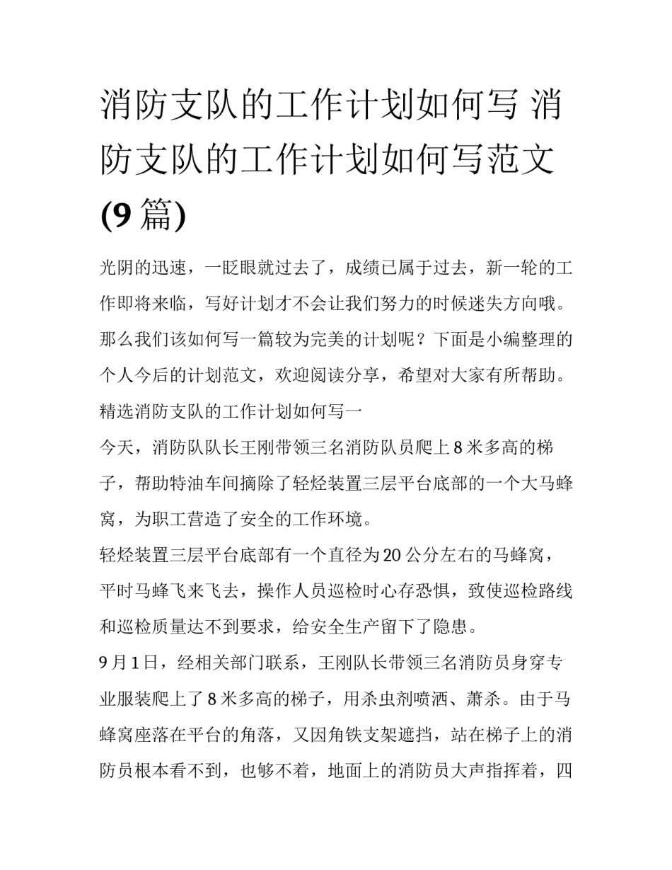 消防支队的工作计划如何写 消防支队的工作计划如何写范文(9篇)_第1页