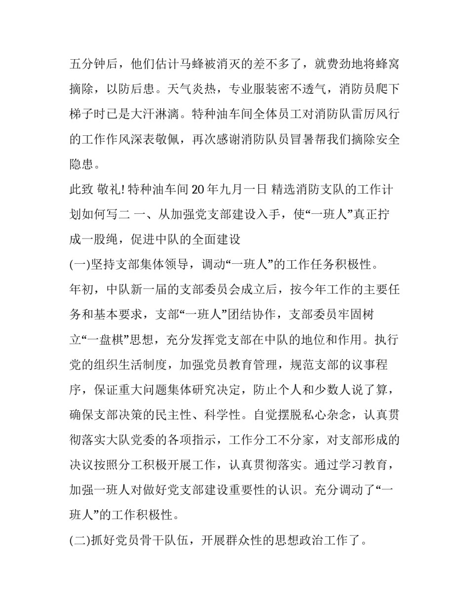 消防支队的工作计划如何写 消防支队的工作计划如何写范文(9篇)_第2页