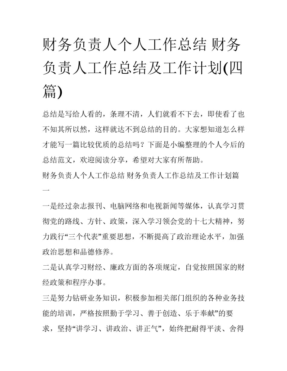 财务负责人个人工作总结 财务负责人工作总结及工作计划(四篇)_第1页