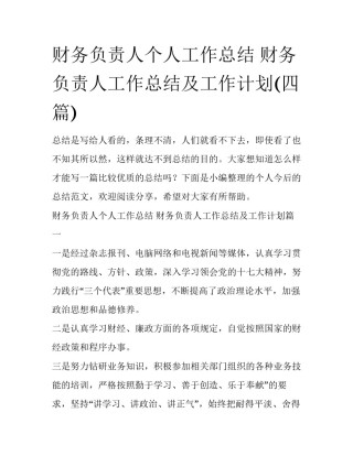 财务负责人个人工作总结 财务负责人工作总结及工作计划(四篇)
