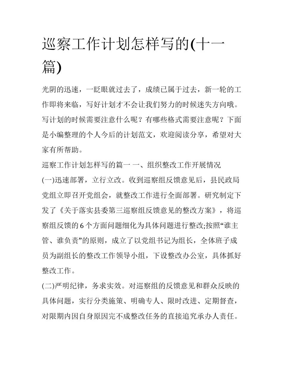 巡察工作计划怎样写的(十一篇)_第1页