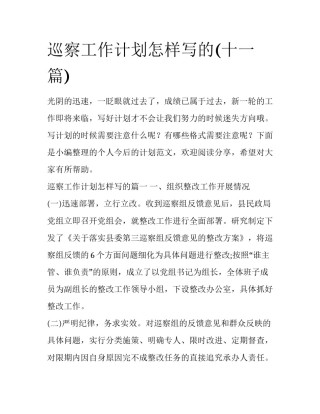 巡察工作计划怎样写的(十一篇)