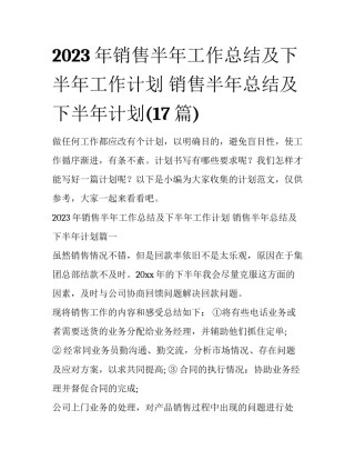 2023年销售半年工作总结及下半年工作计划 销售半年总结及下半年计划(17篇)