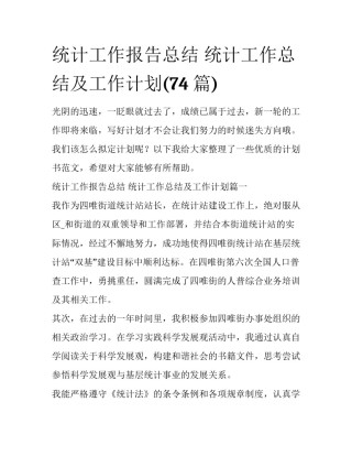 统计工作报告总结 统计工作总结及工作计划(74篇)