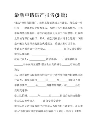 最新申请破产报告(3篇)