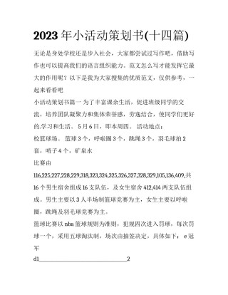 2023年小活动策划书(十四篇)
