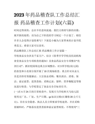 2023年药品稽查队工作总结汇报 药品稽查工作计划(六篇)