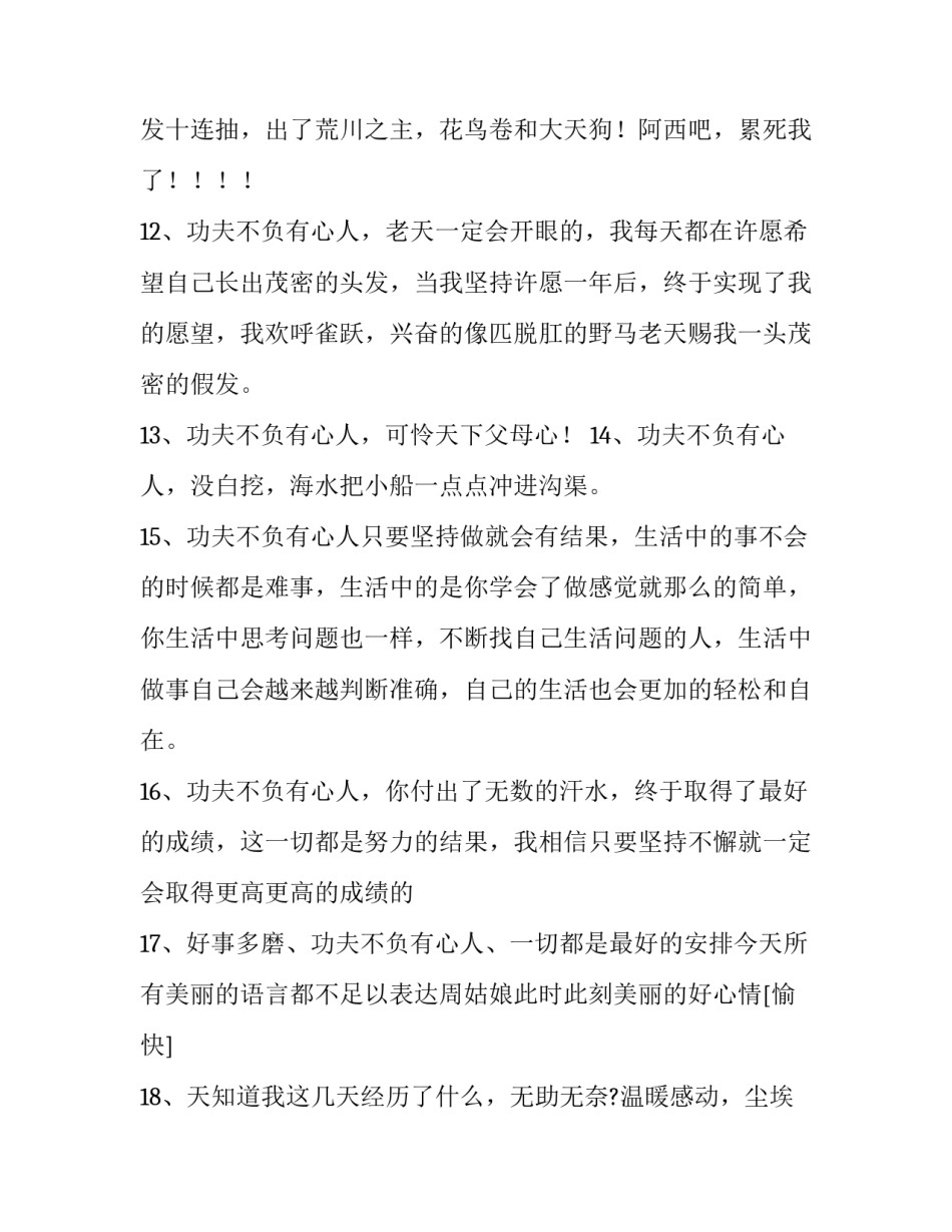 功夫不负有心人的说说句子(三篇)_第3页