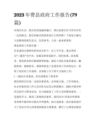 2023年费县政府工作报告(79篇)