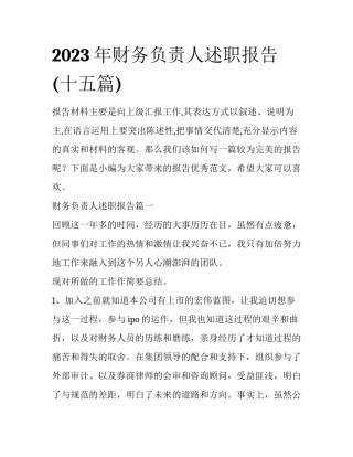 2023年财务负责人述职报告(十五篇)