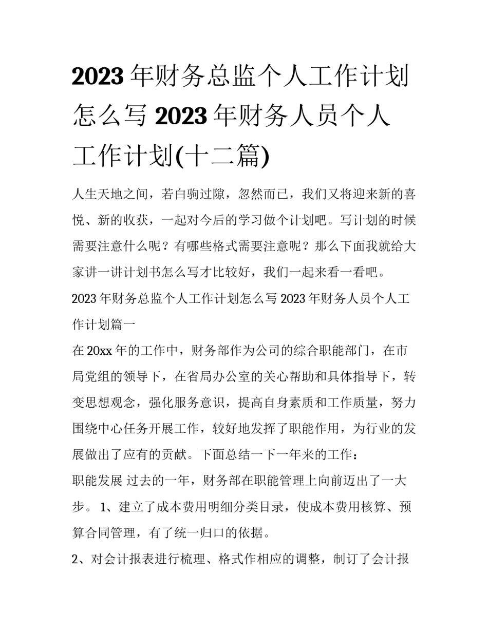 2023年财务总监个人工作计划怎么写 2023年财务人员个人工作计划(十二篇)_第1页