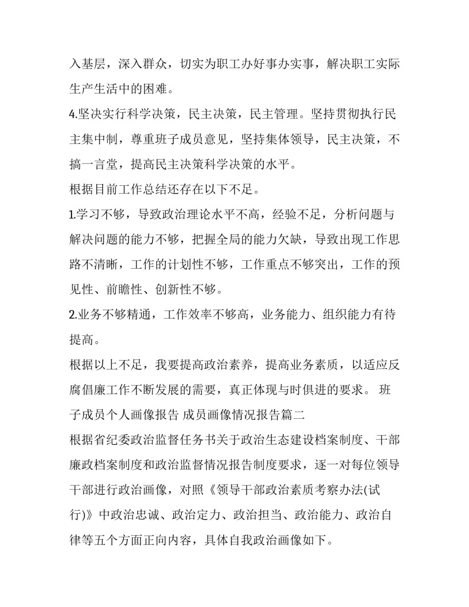 班子成员个人画像报告 成员画像情况报告(5篇)_第2页