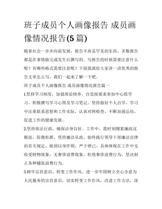班子成员个人画像报告 成员画像情况报告(5篇)
