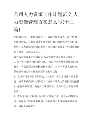 公司人力资源工作计划范文 人力资源管理方案怎么写(十二篇)