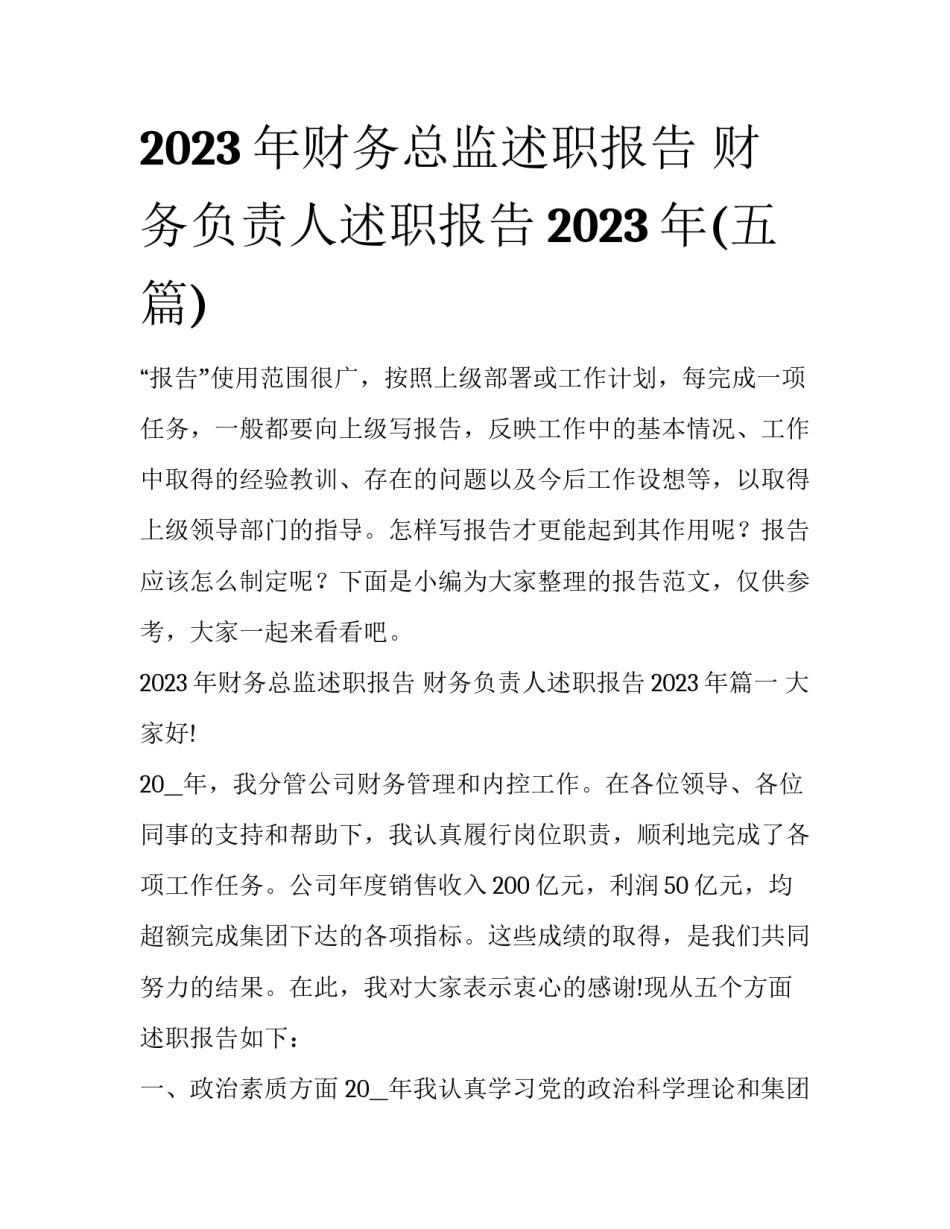 2023年财务总监述职报告 财务负责人述职报告2023年(五篇)_第1页