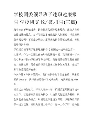 学校团委领导班子述职述廉报告 学校团支书述职报告(三篇)