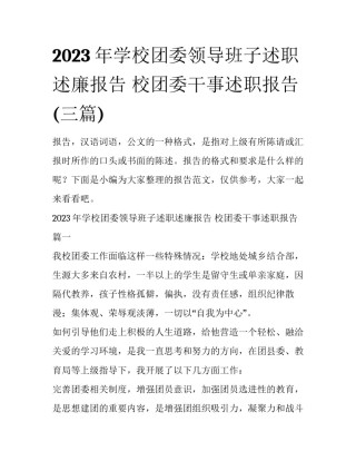 2023年学校团委领导班子述职述廉报告 校团委干事述职报告(三篇)