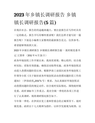 2023年乡镇长调研报告 乡镇镇长调研报告(5篇)
