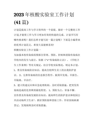 2023年核酸实验室工作计划(41篇)