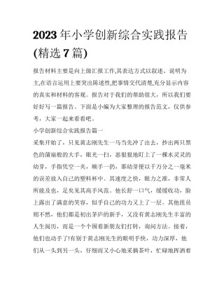 2023年小学创新综合实践报告(精选7篇)