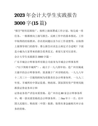 2023年会计大学生实践报告3000字(15篇)