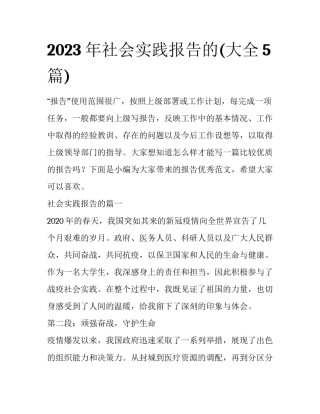 2023年社会实践报告的(大全5篇)