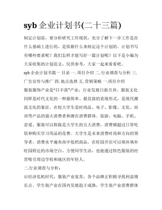 syb企业计划书(二十三篇)