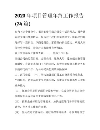 2023年项目管理年终工作报告(74篇)