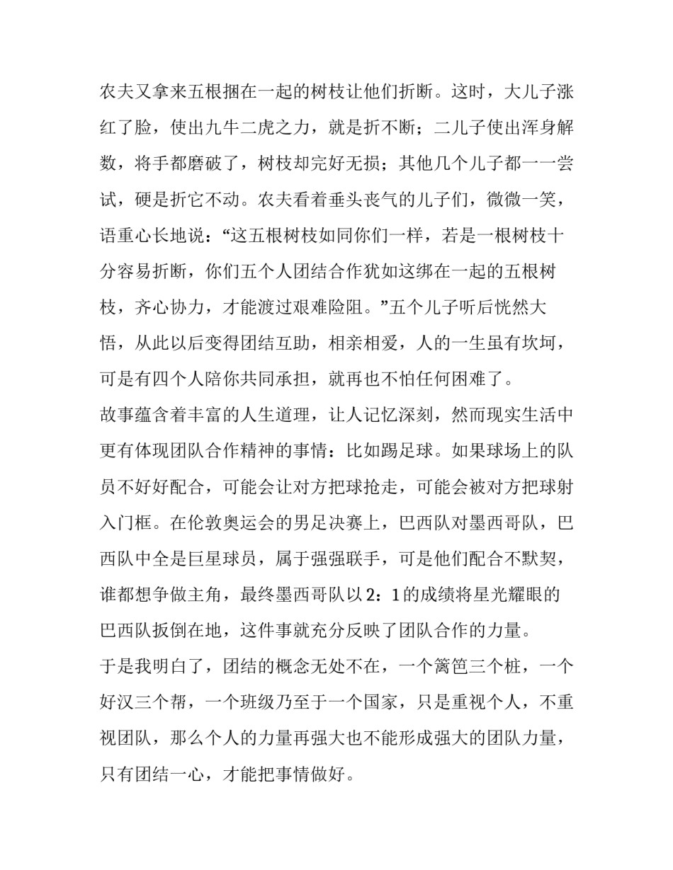 团结协作精神演讲稿 团结协作 精神(四篇)_第3页