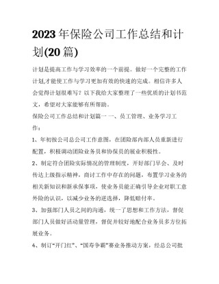 2023年保险公司工作总结和计划(20篇)