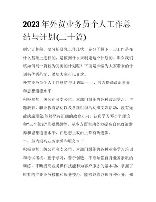 2023年外贸业务员个人工作总结与计划(二十篇)